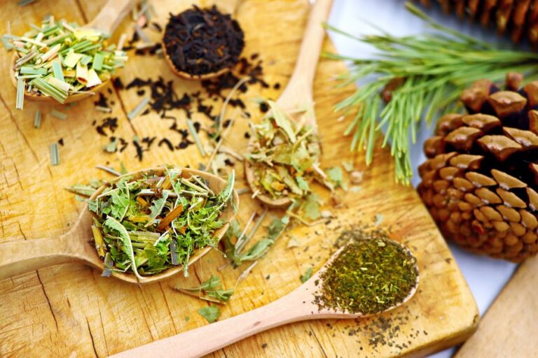 Benefícios das ervas naturais para a saúde do seu pet: como introduzir na dieta