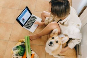 Como criar uma dieta caseira equilibrada para seu pet: passos essenciais para a saúde e bem-estar
