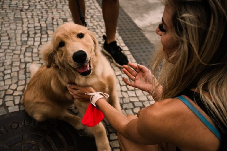 Como criar uma rotina de cuidados preventivos que garanta a saúde física e emocional do seu pet