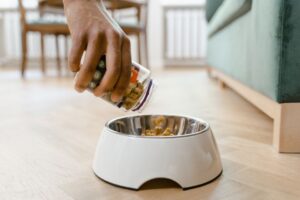 Como escolher os melhores suplementos para a saúde do seu animal de estimação: guia prático para tutores conscientes