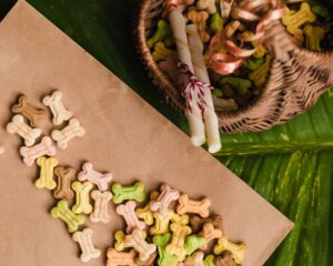 Os melhores snacks naturais para adoçar a alimentação do seu pet e melhorar a saúde dele